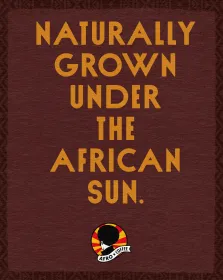 Dark & Elegant Kaffeekapseln, Bio, Fairtrade 10 Stück